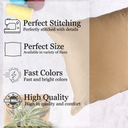 Soft Luxurious Velvet Cushion Covers Rectangular Set of 2 ,Brown
